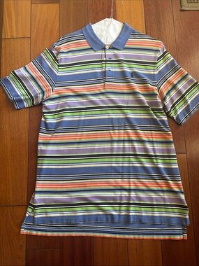 Polo by Ralph Lauren Multicolor Striped Polo Shirt - Blue Collar